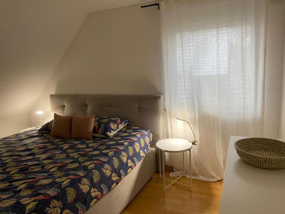 Bel Appartement En Centre Alsace Kintzheim Dış mekan fotoğraf