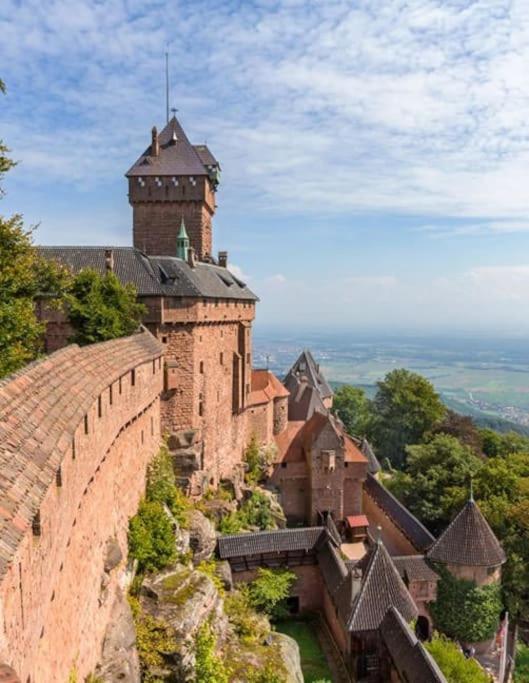 Bel Appartement En Centre Alsace Kintzheim Dış mekan fotoğraf