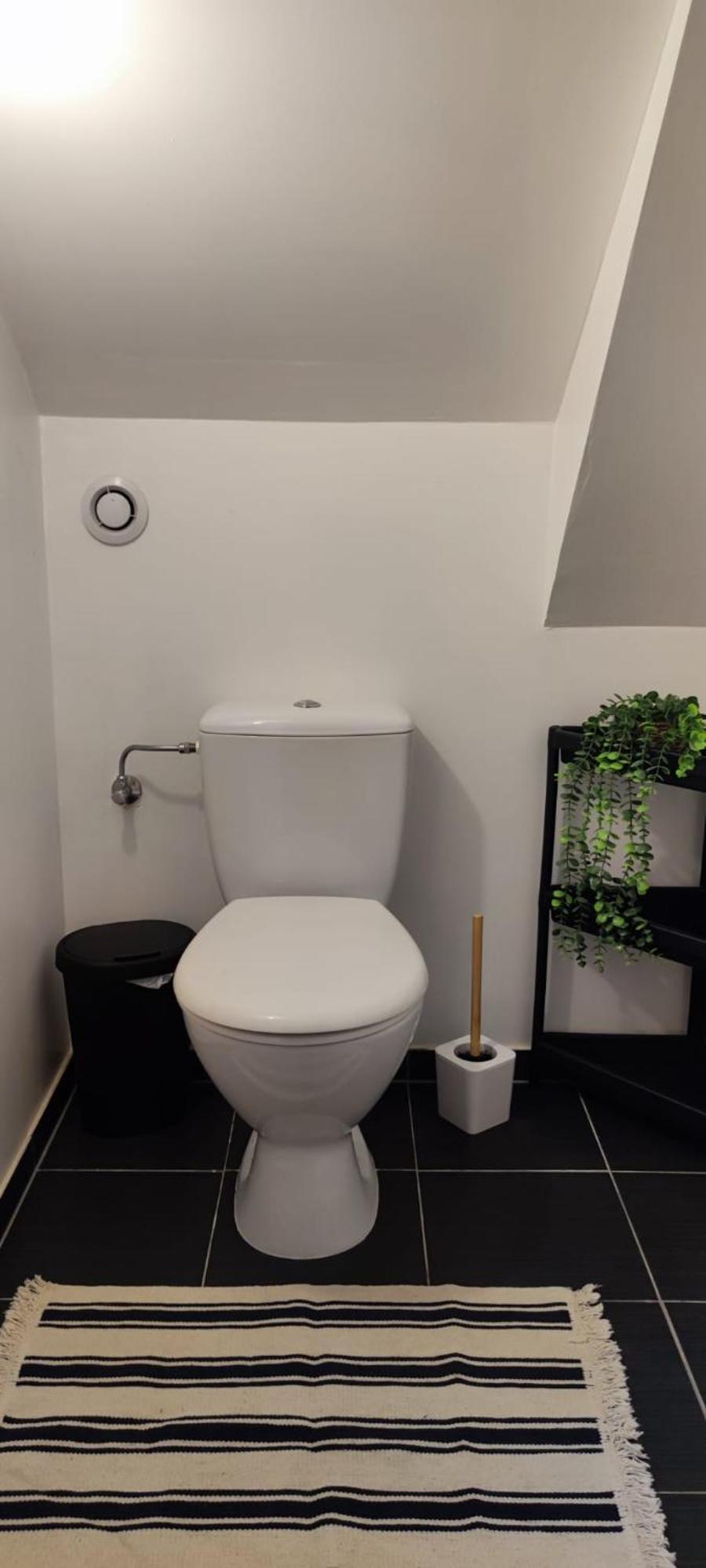 Bel Appartement En Centre Alsace Kintzheim Oda fotoğraf